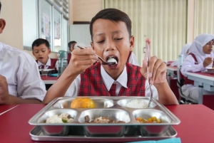 Wamen Investasi dan Hilirisasi Todotua Pasaribu Sebut Program Makan Bergizi Gratis Perkuat Ekonomi UMKM Lokal
